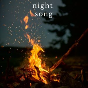 Secret Night Song