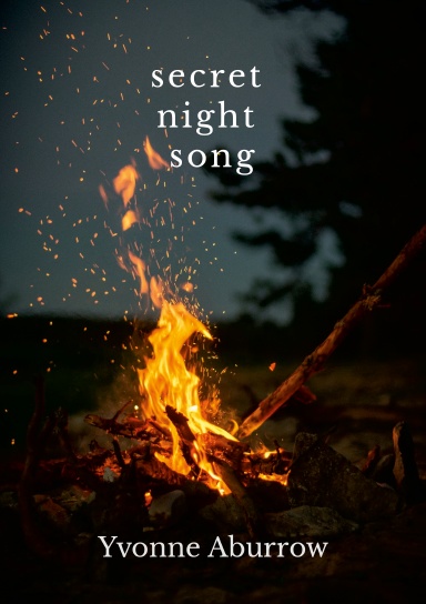 Secret Night Song