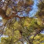 TBT: Eco-spirituality