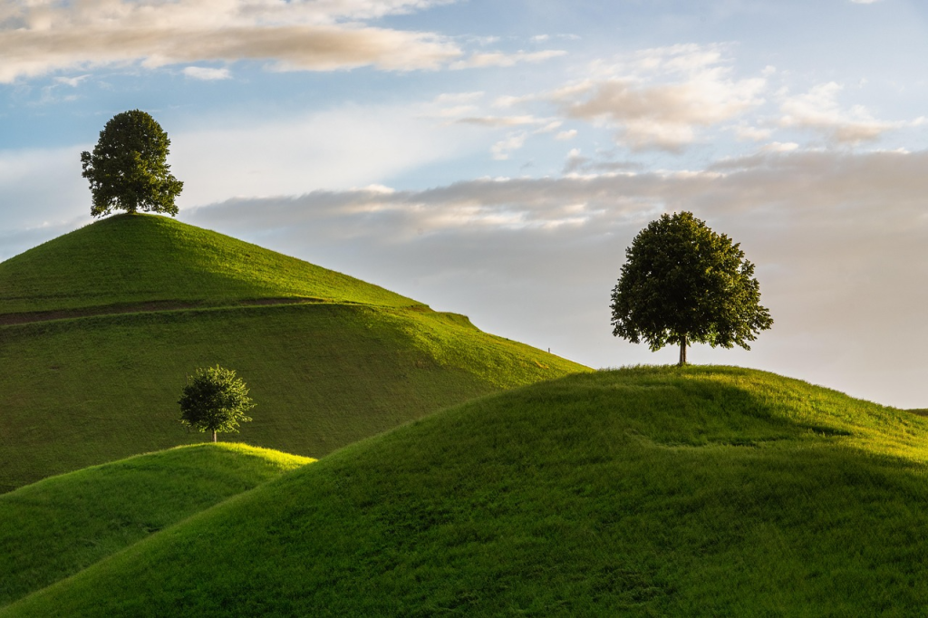 Drumlins and trees. Photo by Susanne Stöckli on Pixabay