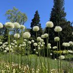TBT: Ambient Literary Noises